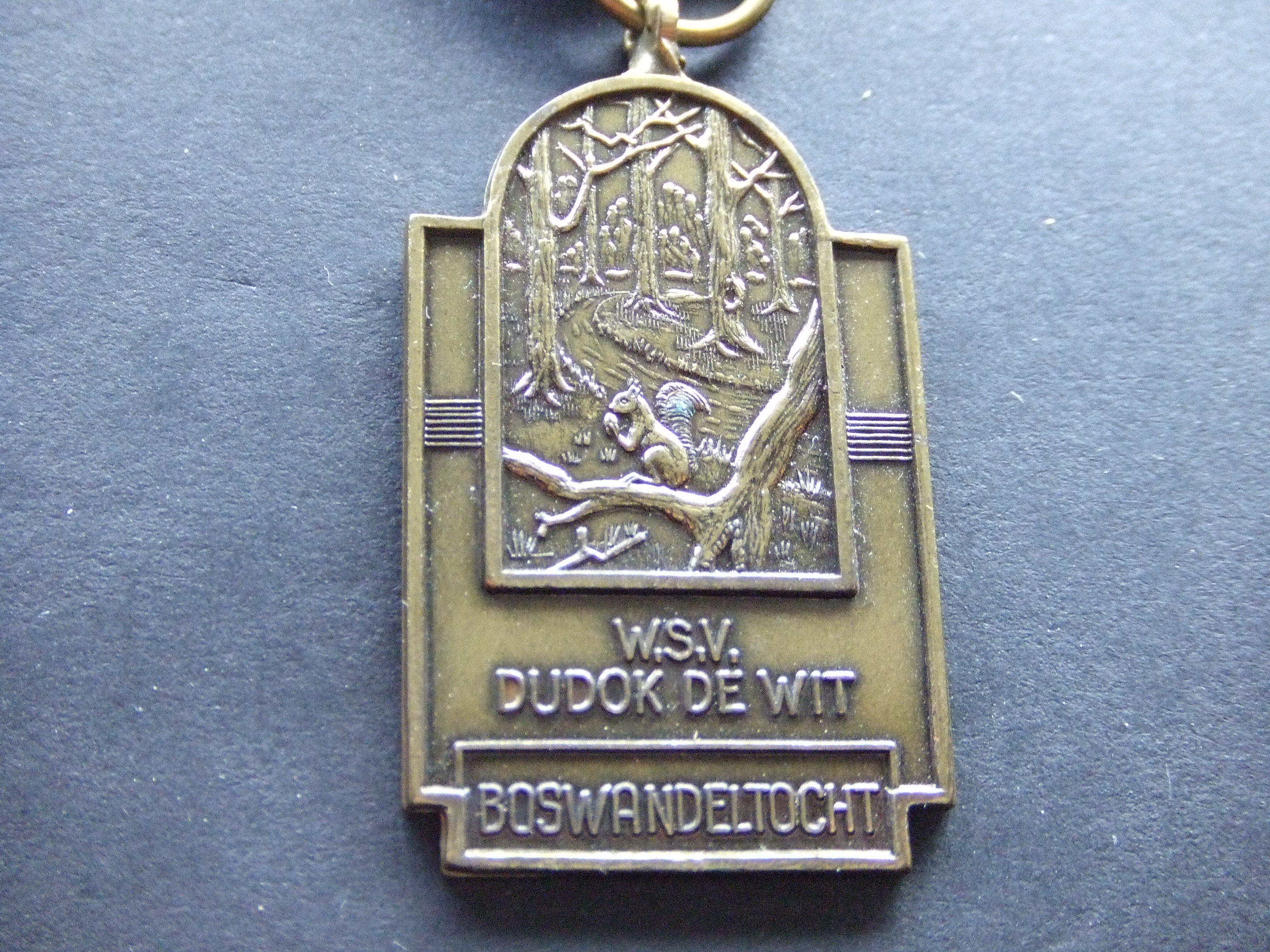 Wandelsportvereniging Dudok De Wit boswandeltocht Eekhoorn